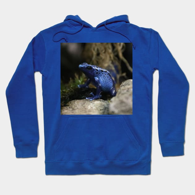 Okopipi Blue Poison Arrow or Dart Frog Hoodie by Christine aka stine1